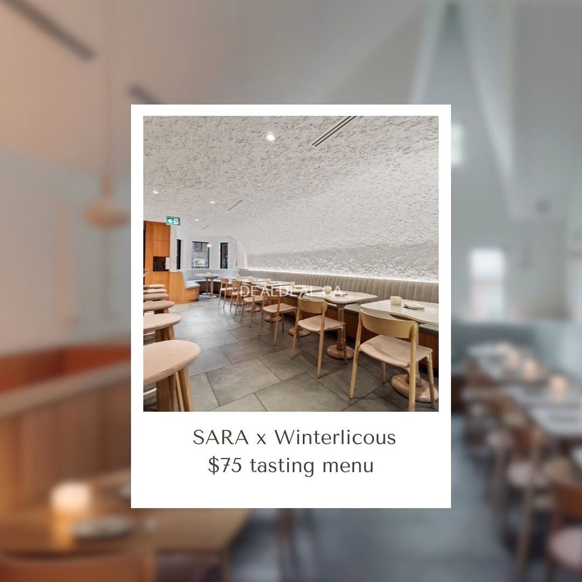 Winterlicious 2024 75 at Sara Restaurant